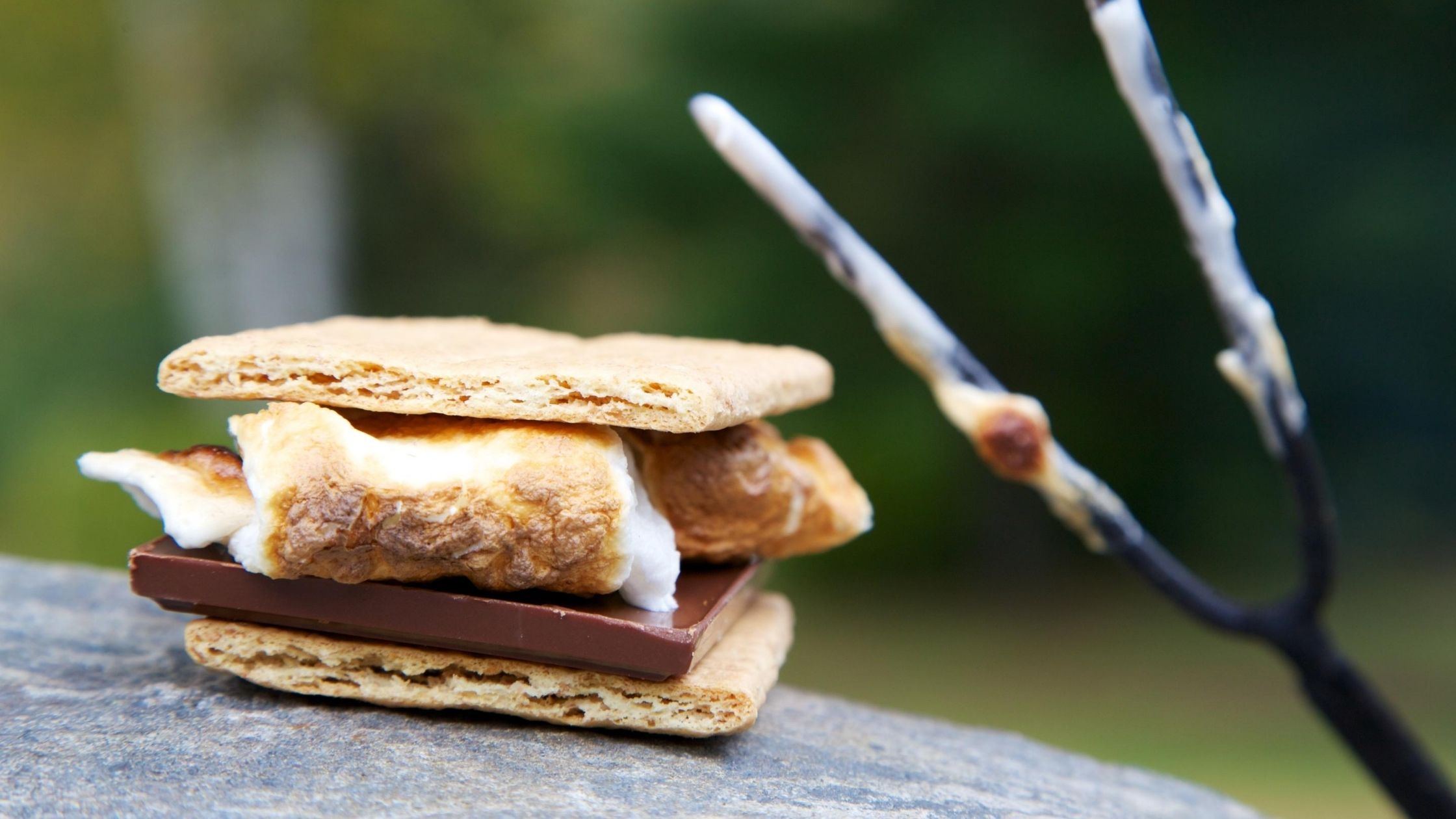 cooking smore over a campfire