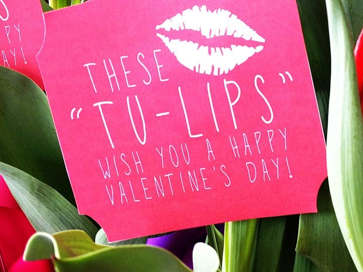 Image for Tulip Easy Valentine Gift Idea with Free Printable Tags