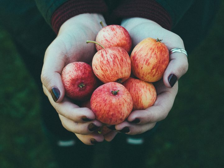 Image for an apple picking party